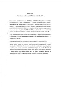 ANEXO XII. "TERMINOS Y CONDICIONES DEL PRESTAMO SUBORDINADO".